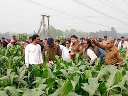Bulandshahr: दलित किसान की धारदार हथियार से हत्या, मक्का के खेत में मिला शव; लोगों में भय का माहौल....TV Newsकल तक