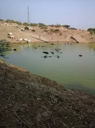 गंग नहर की पटरी कटने से किसानों की फसल डूबी:पशुओं के लिए चारे का संकट,स्याना में सैकड़ों बीघा खेत जलमग्न...TV Newsकल तक