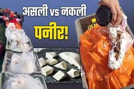 स्याना में नकली पनीर का भंडाफोड़:खराब पनीर नष्ट किया,नमूने जांच को भेजे..TV Newsकल तक