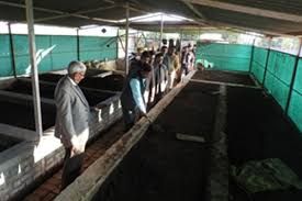 जिलाधिकारी ने किया शहजादपुर कनेनी का दौरा:24 हजार से ज्यादा को प्रशिक्षण,स्वच्छता प्रशिक्षण केंद्र में 14 अपशिष्ट प्रबंधन मॉडल...TV Newsकल तक