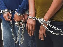 बुलंदशहर में तीन ठग गिरफ्तार:नकली STF अधिकारी बनकर नौकरी का झांसा,फर्जी नियुक्ति पत्र और कॉल लेटर बरामद...TV Newsकल तक