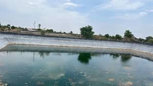 अनूपशहर में मत्स्यपालन के लिए तालाबों का पट्टा आवंटन:मछुआ समुदाय व अनुसूचित जाति को मिलेगी प्राथमिकता,5 अगस्त को होगा शिविर...TV Newsकल तक